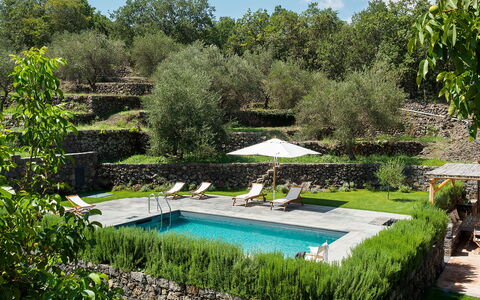Villa Tranquilla - Randazzo, Sicilia: Plant, Water, Plant Community, Natural Landscape, Sky, Swimming Pool, Shade, Cloud, Grass, Landscape