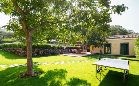 Villa Tranquilla - Randazzo, Sicilia: Plant, Building, Furniture, Table, Green, Tree, Shade, Botany, Outdoor Furniture, Sky