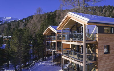 Superior # 5 mit Sauna & Hot Tub 160.5: Furniture, Property, Plant, Comfort, Textile, Wood, Interior Design, Cabinetry, Houseplant, Flooring