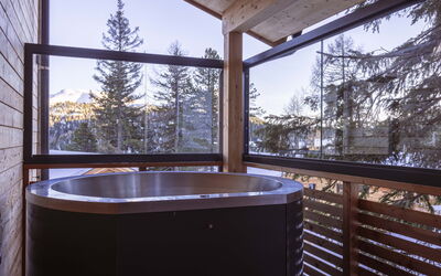 Accommodation:&nbsp;Superior # 11 mit Sauna & Hot Tub 160.10