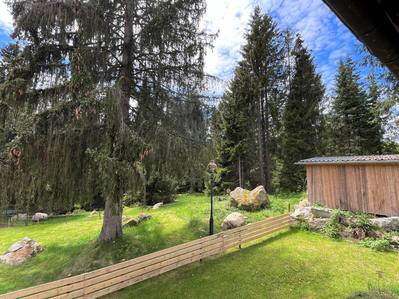 Schluchsee 650