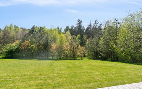 Tian: Green, Tree, Grass, Shrub, Land Lot, Plain, Garden, Meadow, Spring