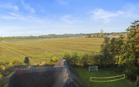 Krok - 1.2Km from the Sea: Grass, Grassland, Plain, Landscape, Field, Ecoregion, Land Lot, Rural Area, Prairie