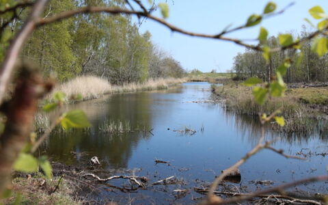 Krok - 1.2Km from the Sea: Water Resources, Water, Body Of Water, Natural Environment, Nature, Marsh, Natural Landscape, Watercourse