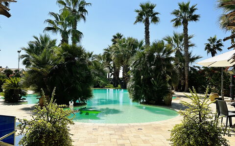 Villa Rosarno: Plant, Water, Sky, Flowerpot, Tree, Azure, Swimming Pool, Arecales, Vegetation, Leisure