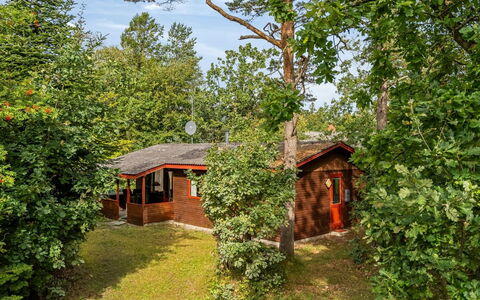 Friis - 100M from the Sea: Tree, Wood, Cottage, Shrub, House, Rural Area, Land Lot, Spring, Garden, Garden Buildings
