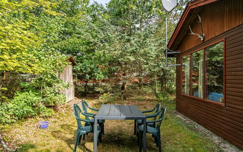 Friis - 100M from the Sea: Leaf, Wood, Branch, Shrub, Cottage, Trunk, Twig, Garden, Garden Buildings, Yard