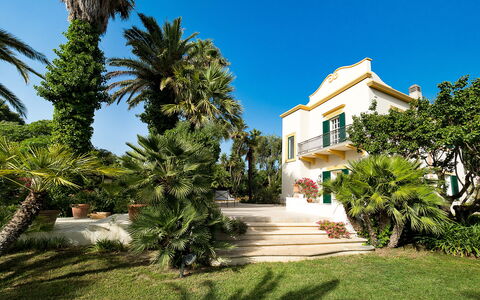 Casa Fiore - Salemi, Sicilia: Sky, Plant, Building, Tree, Window, Arecales, Residential Area, Landscape, Facade, Urban Design