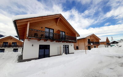 Accommodation:&nbsp;Alpenchalets Nassfeld Rattendorf 100.3