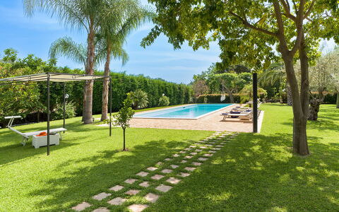 Oasi Verde - Santa Maria La Stella, Sicilia: Plant, Water, Sky, Swimming Pool, Tree, Shade, Outdoor Furniture, Land Lot, Leisure, Arecales