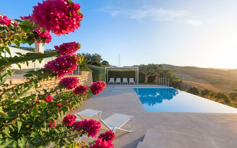 Mirabilia - Tangi, Sicilia: Sky, Flower, Plant, Water, Cloud, Swimming Pool, Tree, Leisure, Landscape, Arecales