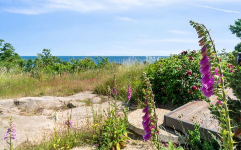 Seetje - 200M from the Sea: Wood, Roof, Architecture, Home, House, Cottage, Siding, Hardwood, Slope, Estate