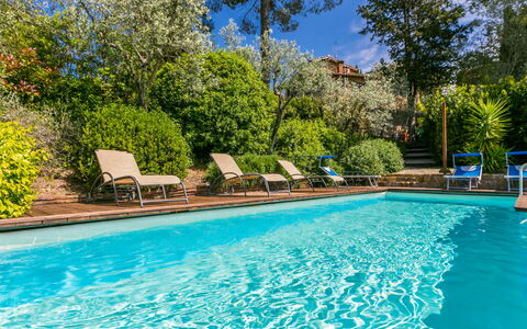 Sole: Water, Plant, Property, Furniture, Swimming Pool, Azure, Blue, Tree, Outdoor Furniture, Shade