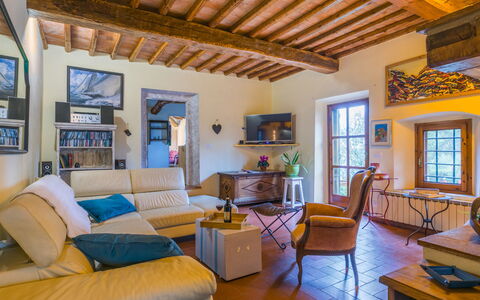 Sole: Furniture, Property, Couch, Picture Frame, Table, Window, Blue, Interior Design, Architecture, Living Room