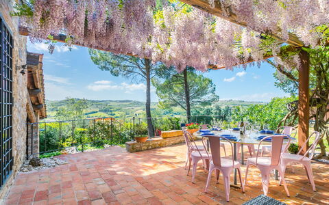 Sole: Plant, Sky, Furniture, Property, Flower, Table, Building, Outdoor Table, Chair, Outdoor Furniture