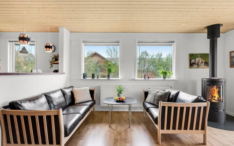 Ensio - 300M to the Fjord: Furniture, Flooring, Interior Design, Wood, Floor, Wood Flooring, Living Room, Couch, Home, Ceiling