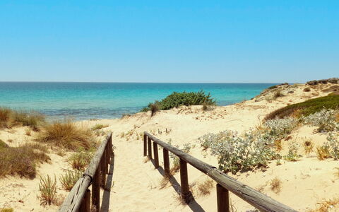 Villa Trullo - Torricella, Puglia: Sky, Water, Plant, Plant Community, Azure, Fence, Natural Landscape, Tree, Coastal And Oceanic Landforms, Beach