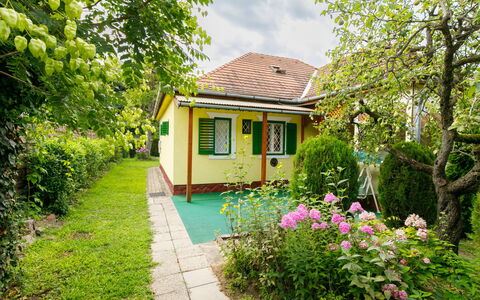 Stella: Plant, Building, Flower, Property, Window, Nature, Natural Landscape, House, Tree, Sky