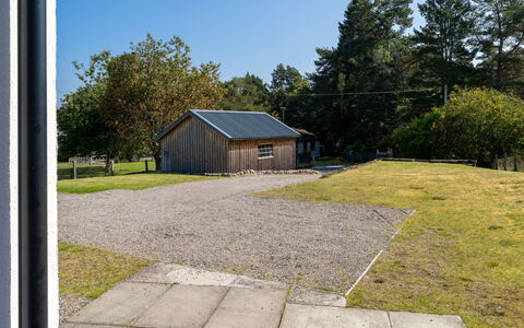 Muir Edge: Plant, Sky, Tree, Window, Land Lot, Road Surface, Shade, Building, Asphalt, Roof