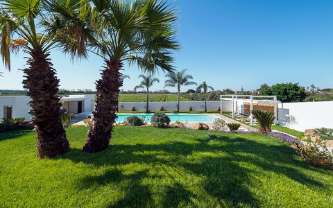 Casa Ocra - Misiliscemi, Sicilia: Sky, Plant, Tree, Land Lot, Vegetation, Arecales, Shade, Terrestrial Plant, Landscape, Grass