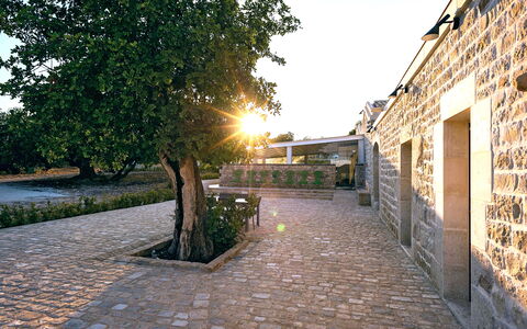 Casa Masseria - Scicli, Sicilia: Plant, Sky, Building, Road Surface, Tree, Flooring, Asphalt, Grass, Landscape, Road