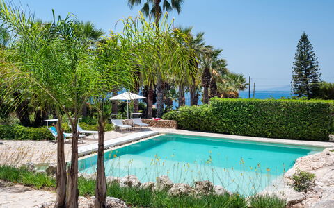 Villa Diamante - Siracusa, Sicilia: Water, Plant, Sky, Property, Botany, Azure, Nature, Swimming Pool, Natural Landscape, Vegetation