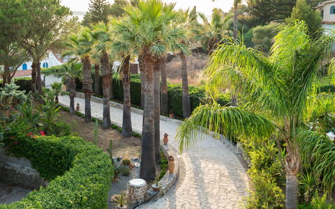 Villa Diamante - Siracusa, Sicilia: Plant, Plant Community, Building, Botany, Tree, Vegetation, Arecales, Window, Terrestrial Plant, Woody Plant