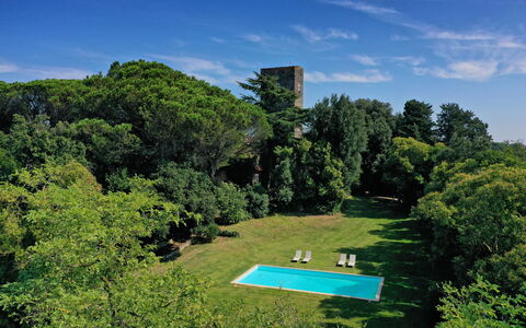 Torre Delle Cornacchie: Cloud, Sky, Property, Green, Plant, Natural Landscape, Botany, Land Lot, Tree, Grass