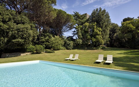 Torre Delle Cornacchie: Water, Plant, Sky, Cloud, Swimming Pool, Azure, Shade, Grass, Tree, Rectangle
