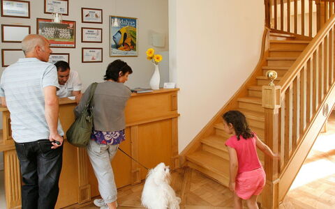 Erdeven 101: Property, Picture Frame, Interior Design, Wood, Yellow, Floor, Flooring, Hardwood, Fun