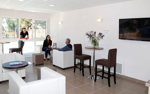 Baden 800: Furniture, Plant, Chair, Table, Comfort, Houseplant, Architecture, Interior Design, Living Room, Flooring