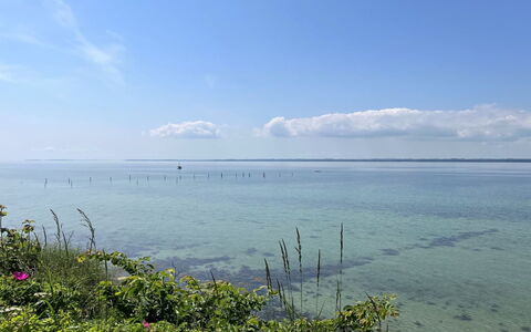 Jovana - 40M from the Sea: House, Home, Door, Roof, Cottage, Estate, Garden, Shade, Siding, Yard