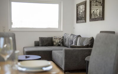Alpine Qualitytime 801.3: Furniture, Interior Design, Couch, Flooring, Wall, Floor, Wood, Room, Living Room, Home