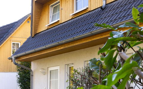 Schneider 2D: Building, Plant, Window, House, Sky, Land Lot, Yellow, Cottage, Residential Area