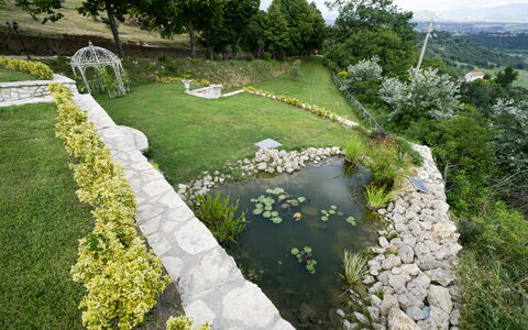 Luxury Villa Con Spa e Panorama a 40 Min Da Roma: Plant, Plant Community, Flower, Botany, Nature, Tree, Natural Landscape, Vegetation, Grass, Land Lot