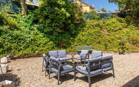 Dalia: Furniture, Outdoor Furniture, Chair, Shrub, Garden, Plant Community, Outdoor Table, Groundcover, Shade