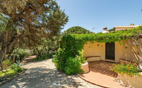 La Casetta del Mare: Plant, Building, Sky, Plant Community, Window, Land Lot, Cottage, Tree, House, Road Surface