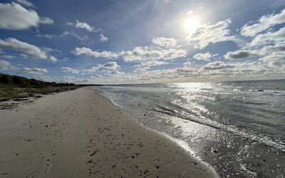 Niesina - 100M from the Sea