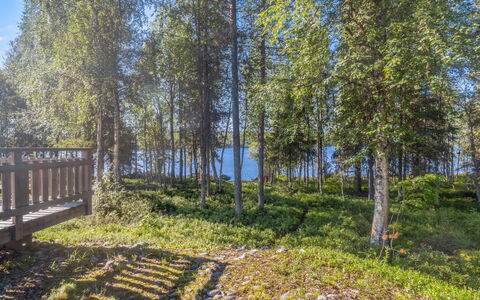 Pohjaslahdentie 17 B: Green, Tree, Nature, Natural Environment, Leaf, Natural Landscape, Vegetation, Landscape, Plant Community