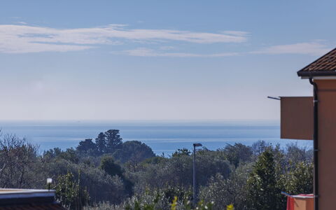 Umag Zambratija 441: Building, Daytime, Property, Sky, Water, Plant, Window, Swimming Pool, Tree, Urban Design