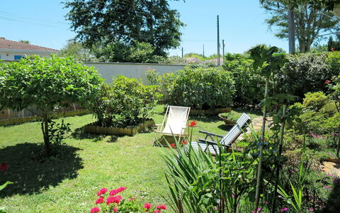 Mandarine: Plant, Sky, Flower, Plant Community, Tree, Natural Landscape, Land Lot, Chair, Grass, Groundcover