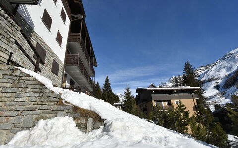 Masserini View Apartment: Plant, Building, Sky, Window, Tree, House, Land Lot, Neighbourhood, Urban Design, Residential Area
