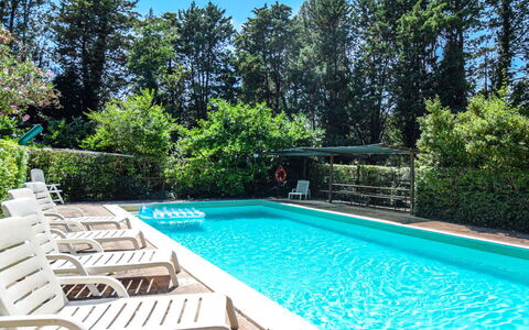 La Mora: Water, Plant, Property, Swimming Pool, Sky, Azure, Shade, Tree, Rectangle, Grass