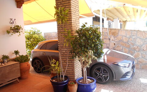 Apartamento Playa De Regla: Wheel, Plant, Car, Property, Flowerpot, Vehicle, Automotive Tire, Houseplant