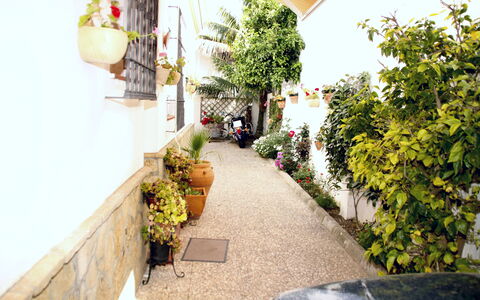 Apartamento Playa De Regla: Plant, Property, Flower, Flowerpot, Building, Houseplant, Orange, Yellow, Wall, Road Surface