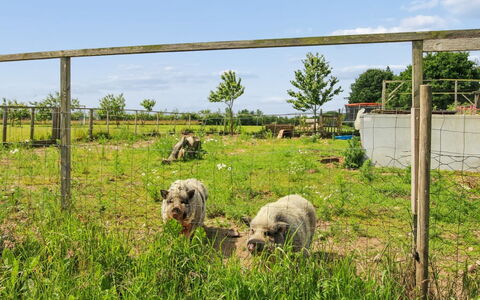 Ilsabe - 25Km from the Sea: Pasture, Landscape, Rural Area, Field, Fence, Livestock, Grazing, Wire Fencing, Meadow, Farm