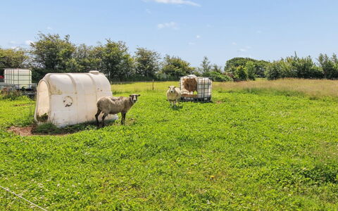 Ilsabe - 25Km from the Sea: Grass, Grassland, Pasture, Rural Area, Field, Landscape, Plain, Grazing, Land Lot