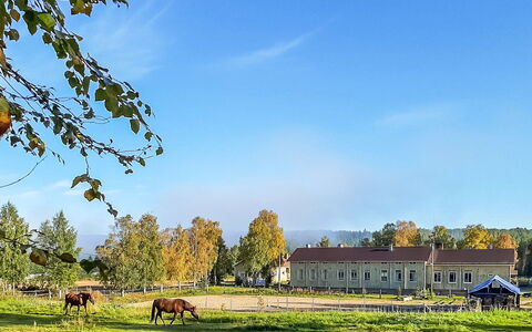 Juotas Village: Wood, Cottage, House, Home, Door, Hardwood, Garden Buildings, Wood Stain, Log Cabin, Plank