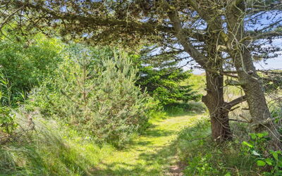 Hunlef - 1.7Km from the Sea