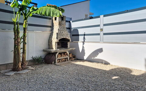 Vili: Shade, Garden, Concrete, Landscaping, Courtyard, Yard, Backyard, Houseplant